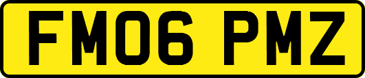 FM06PMZ