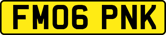 FM06PNK