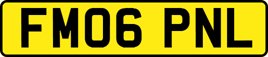 FM06PNL