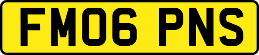 FM06PNS
