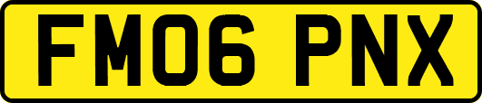 FM06PNX