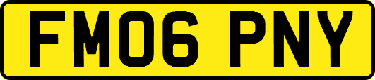 FM06PNY