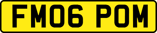 FM06POM