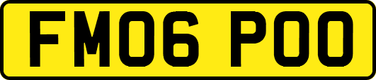 FM06POO