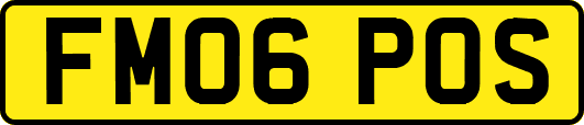 FM06POS