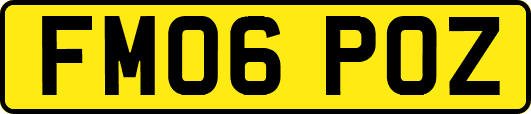 FM06POZ