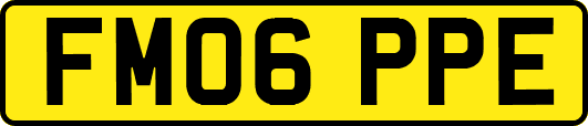 FM06PPE