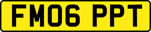 FM06PPT
