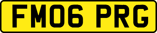 FM06PRG