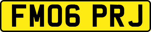 FM06PRJ