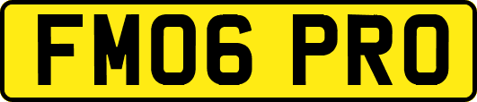 FM06PRO