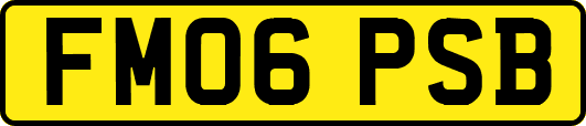 FM06PSB
