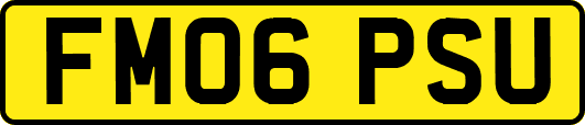 FM06PSU