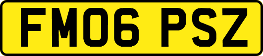 FM06PSZ