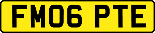 FM06PTE