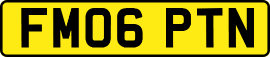 FM06PTN