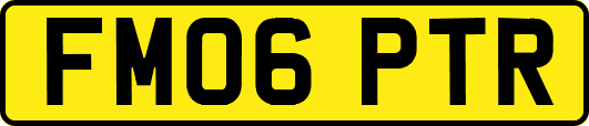 FM06PTR