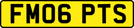 FM06PTS