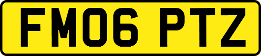 FM06PTZ
