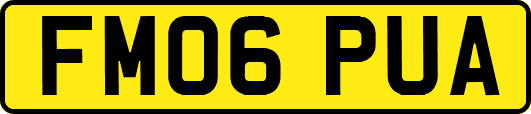 FM06PUA