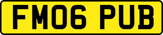 FM06PUB
