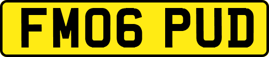 FM06PUD