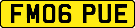 FM06PUE
