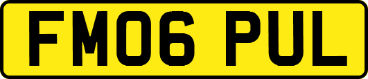 FM06PUL