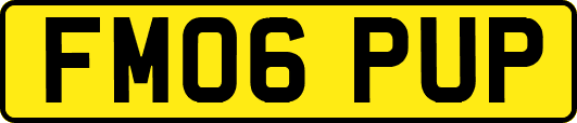 FM06PUP