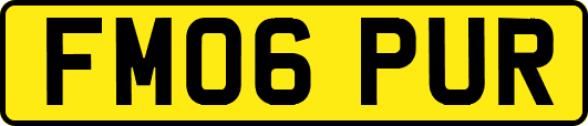 FM06PUR