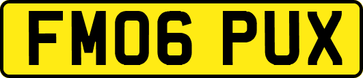 FM06PUX