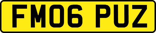 FM06PUZ