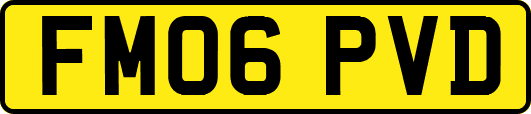 FM06PVD