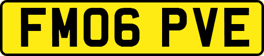 FM06PVE