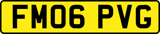 FM06PVG