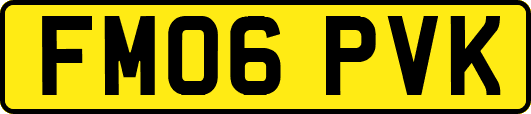 FM06PVK