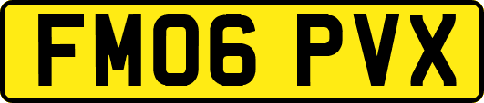 FM06PVX