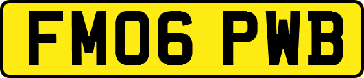 FM06PWB