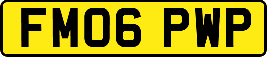 FM06PWP