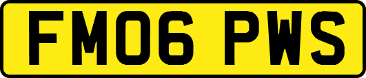 FM06PWS