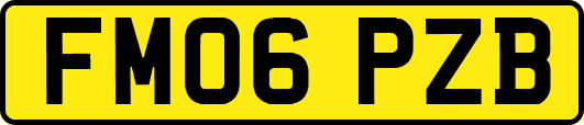 FM06PZB