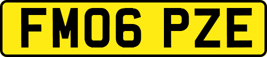 FM06PZE