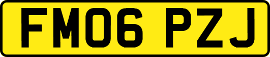 FM06PZJ