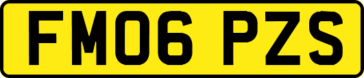FM06PZS