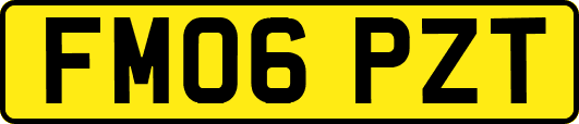 FM06PZT