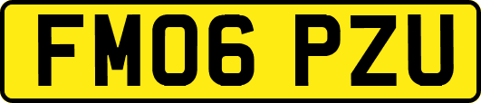 FM06PZU