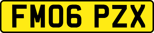 FM06PZX