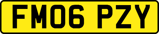 FM06PZY