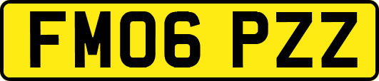 FM06PZZ