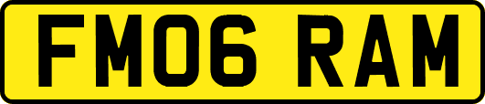 FM06RAM